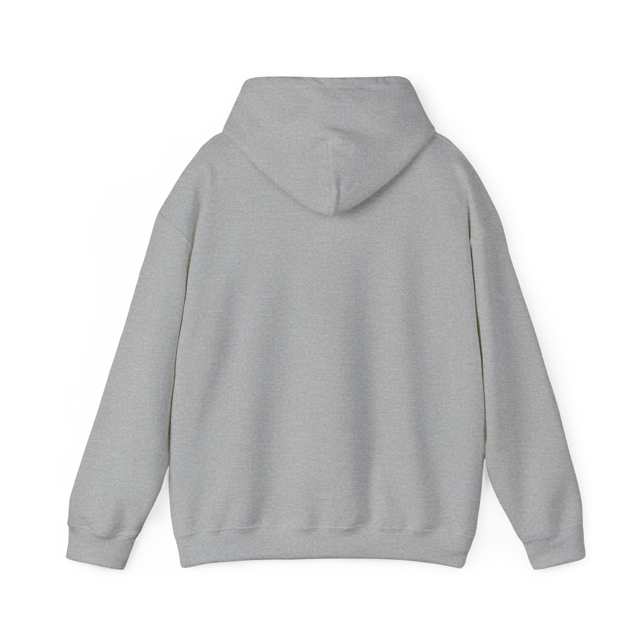 Funny Quote Hoodie — "Your body is 70% water and I’m thirsty." Pullover Sweatshirt